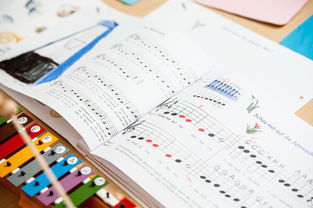 九游娱乐(jiuyou)官方网站-中小学体育教师继续教育体系建设与实施研究，小学体育继续教育考试试题及答案