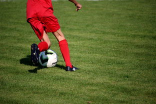 九游娱乐(jiuyou)官网-篮球运动员专项技能训练课程体系创新探索，篮球专项训练方案