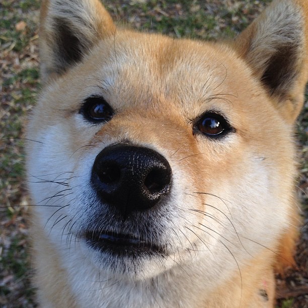 JIUYOU GAMING-英超边路传中战术革新对进球效率的影响分析，英超技术特点