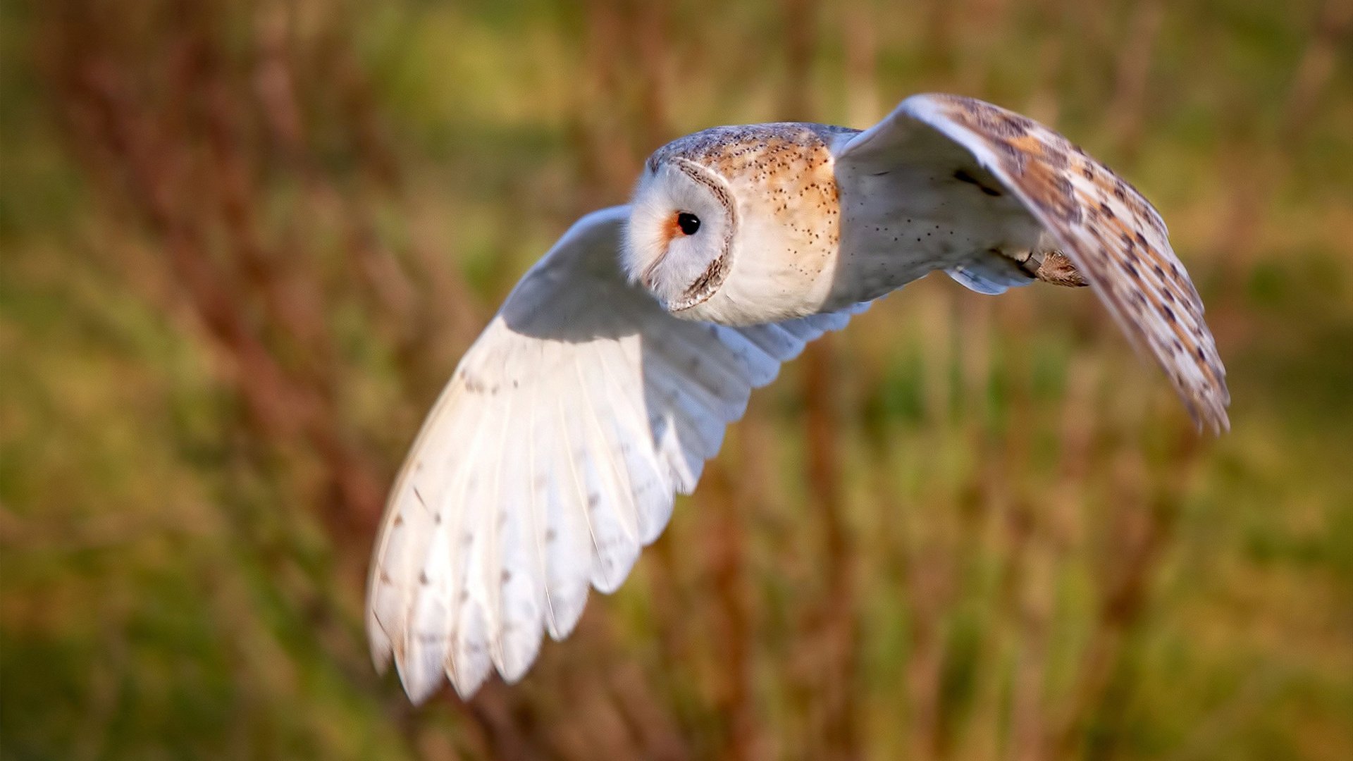 九游（jiuyou.com）游戏-中国U19男篮征战世青赛 小将成长迅速，u19男篮世青赛 2019