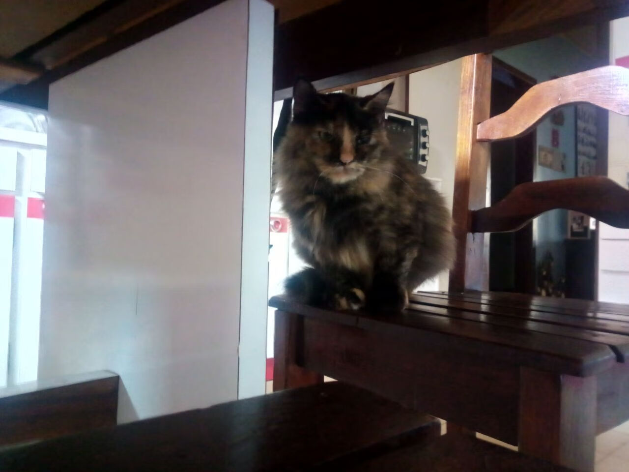 拉齐奥中路组织串联有效制造机会,拉齐奥足球俱乐部的辉煌时期