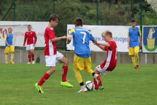 九游电脑版-意甲节奏之王：快速反击碾压对手，意甲开场曲叫什么名